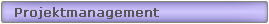 Projektmanagement