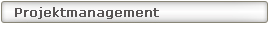 Projektmanagement